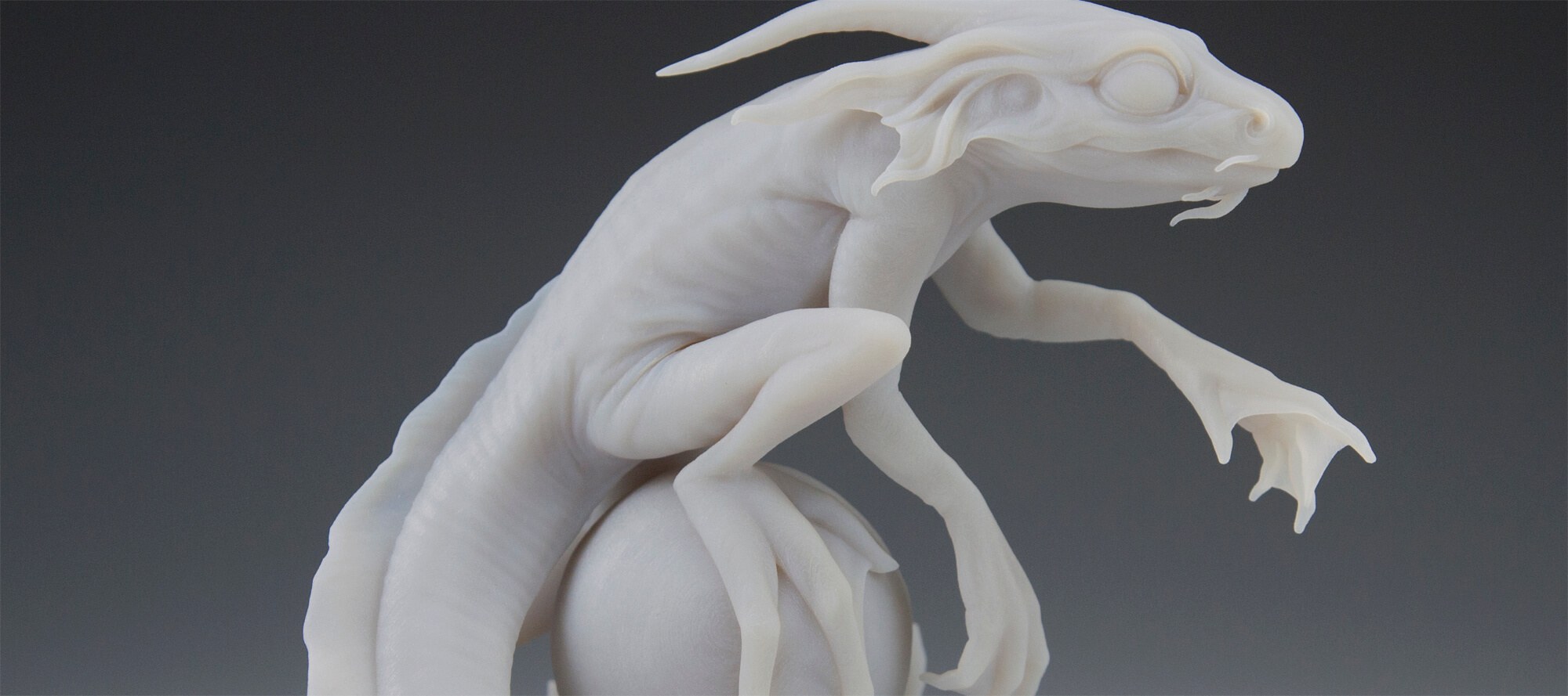Sealamander_Eelguana_0705